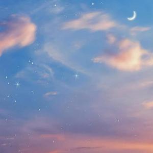 网站SSL小鲤导航
